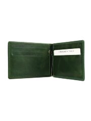 Зажим для денег Qoper 1021 green