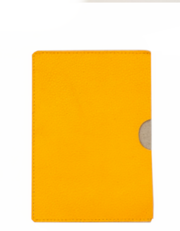 Чехол для паспорта Гранд 02-016-0630 