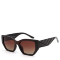 Очки солнцезащитные DN954-003 DONNA