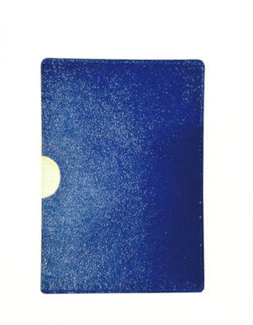 Чехол для паспорта Гранд 02-016-0662