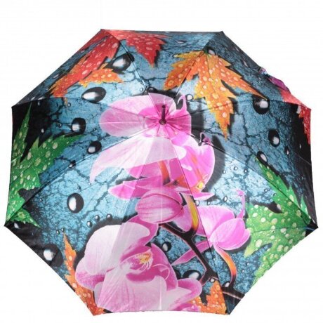 Зонт FJ ж 051103 орхидея, листья