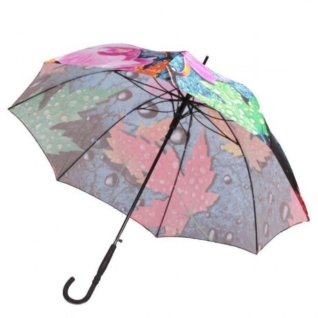 Зонт FJ ж 051103 орхидея, листья