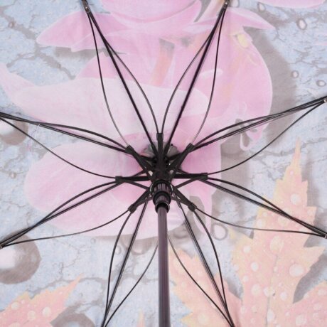 Зонт FJ ж 051103 орхидея, листья