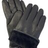 Перчатки мужские Ploneer 210J р.10 олень