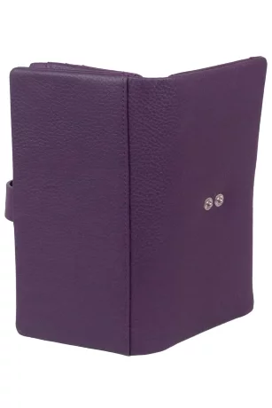 Кошелек Ego Favorite 306-0010 фиолетовый