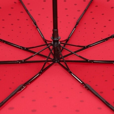 Зонт FJ 160407 Кошки в горошке красн