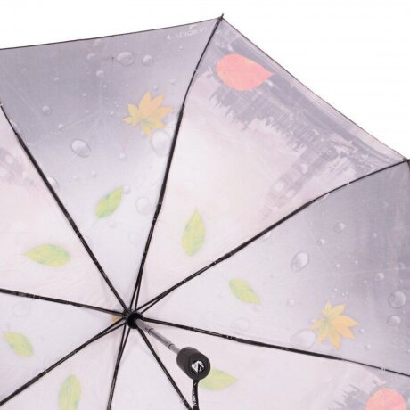 Зонт FJ ж 190213 Valse