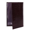 Обложка на паспорт Геккон FT-PS11-KR56 борд в г. Санкт-Петербург, ОПЛАТА ПОСЛЕ ОСМОТРА.