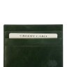 Кардхолдер Qoper 1028 green