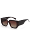 Очки солнцезащитные DN941-006 DONNA