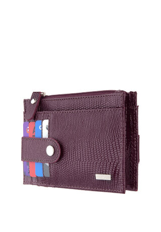 Кредитница ESSE НИККИ борд.варан