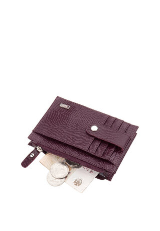 Кредитница ESSE НИККИ борд.варан