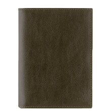 Обложка на автодокументы и паспорт 2в1 Qoper 0546 brown