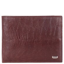 Кошелек мужской Petek 101-041 Brown 