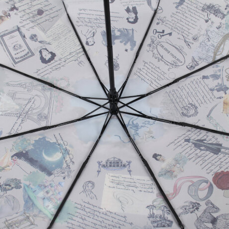 Зонт Flioraj 060699 стихи Пушкина