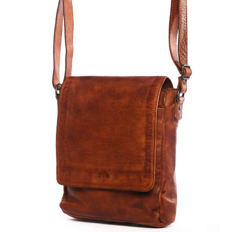 Сумка мужская Bear Design CL40025 cognac