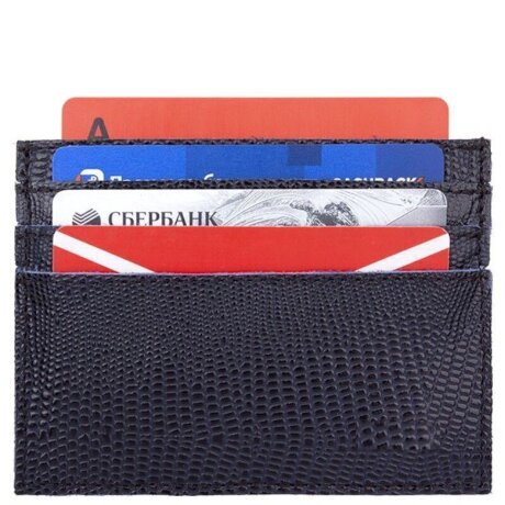 Кредитница Esse Энди Indigo варан син