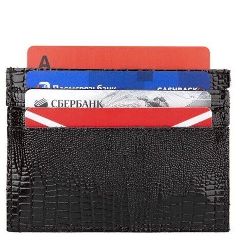 Кредитница Esse Энди Dark варан 