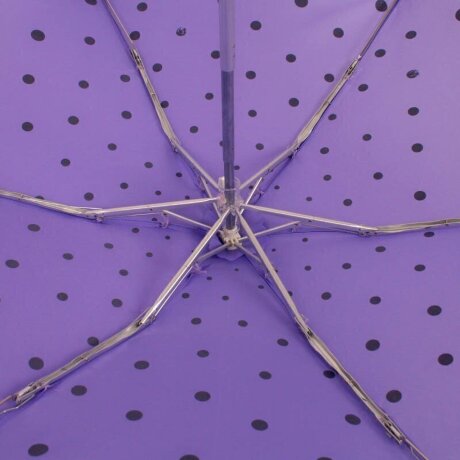 Зонт Flioraj 170414 Кошки в горошке сирень