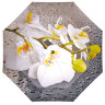 Зонт Flioraj 231204 орхидея