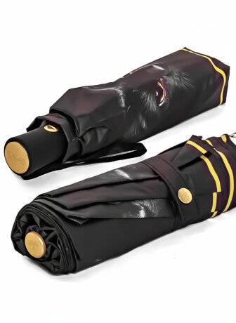 Зонт женский 3 слона L3870-2