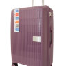 Чемодан BV LJX002-24 purple Bagvoyage