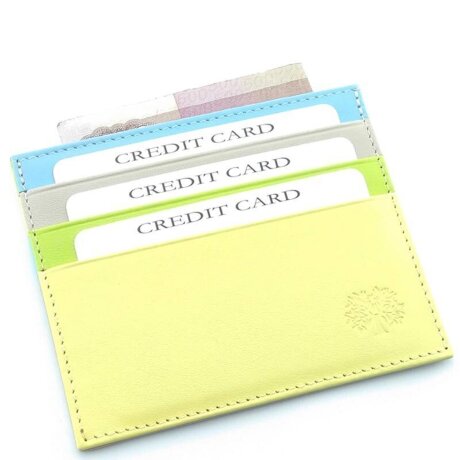 Кардхолдер Qoper 0863 rainbow