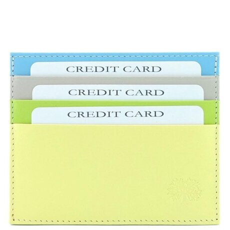 Кардхолдер Qoper 0863 rainbow