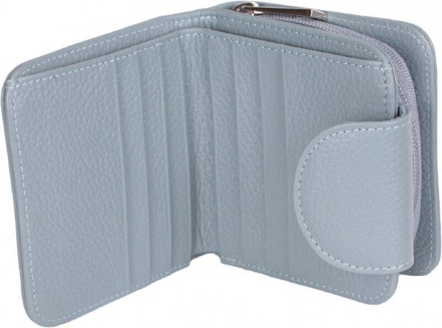 Портмоне ДАНДИ 291-17 голуб