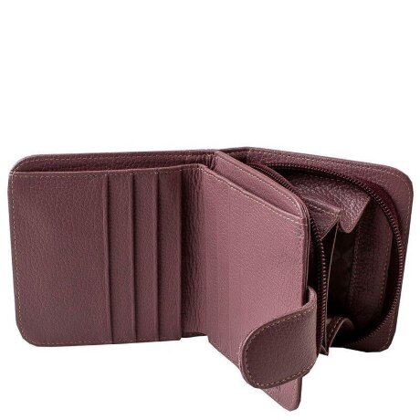 Кошелек ДАНДИ 291-08 бальзам