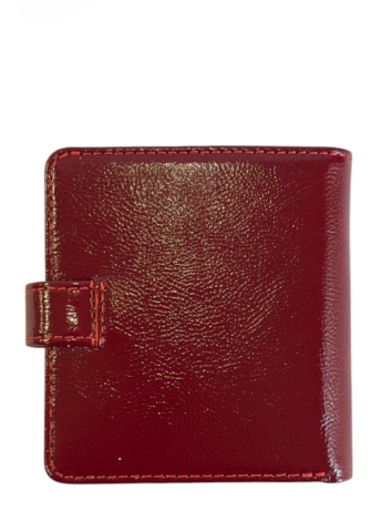 Кошелек женский Вектор ПЖ-465-2130