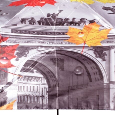 Зонт Петербургские Зонтики "Листья" 213