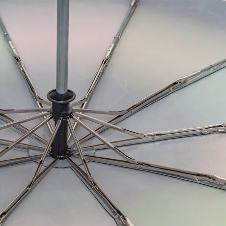 Зонт женский 3 Cлона L3100-12 (310)