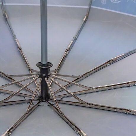 Зонт женский 3 Cлона L3100-13 (310)