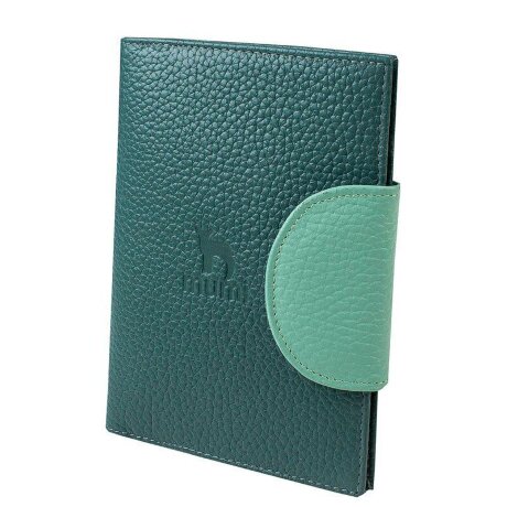 Обложка для автодокументов MUMI 194-29 мята